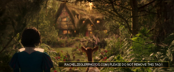 rachelzeglerphotos28dot29com-002.png