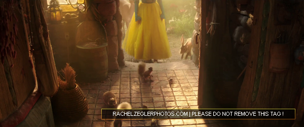 rachelzeglerphotos28dot29com-006.png