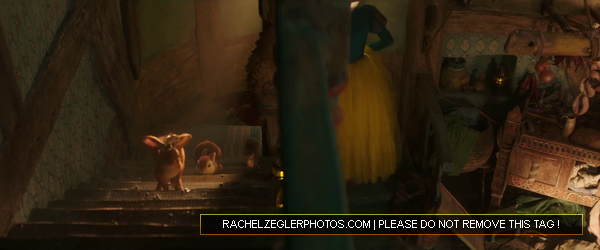 rachelzeglerphotos28dot29com-007.png