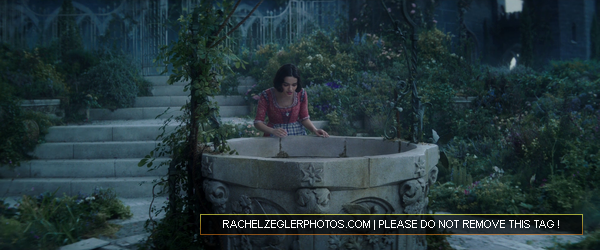 rachelzeglerphotos28dot29com-030.png