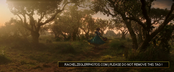 rachelzeglerphotos28dot29com-048.png