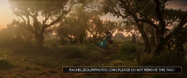 rachelzeglerphotos28dot29com-049.png