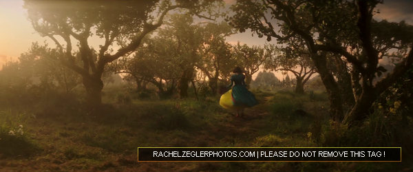 rachelzeglerphotos28dot29com-051.png