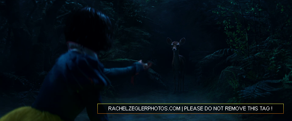 rachelzeglerphotos28dot29com-081.png