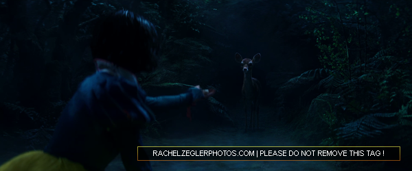 rachelzeglerphotos28dot29com-082.png