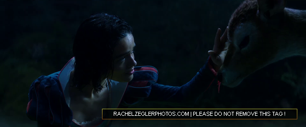 rachelzeglerphotos28dot29com-084.png