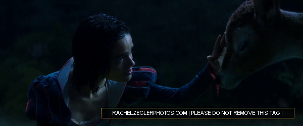 rachelzeglerphotos28dot29com-085.png