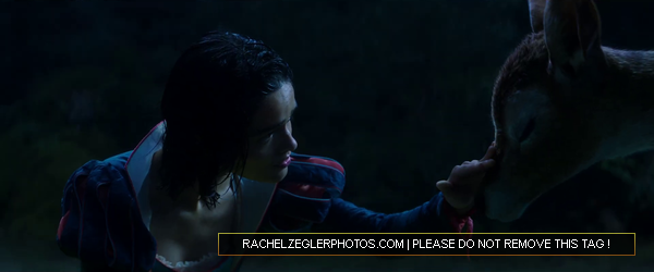 rachelzeglerphotos28dot29com-091.png