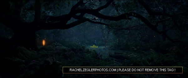 rachelzeglerphotos28dot29com-099.png