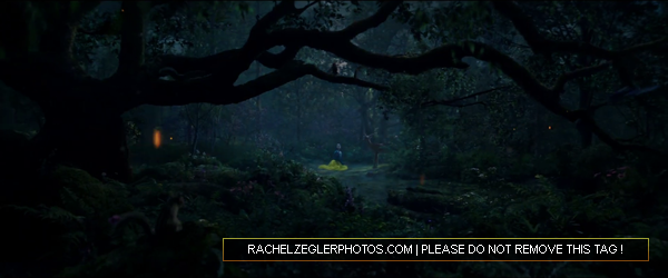 rachelzeglerphotos28dot29com-100.png