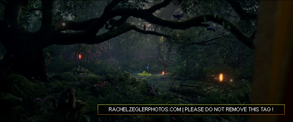 rachelzeglerphotos28dot29com-108.png